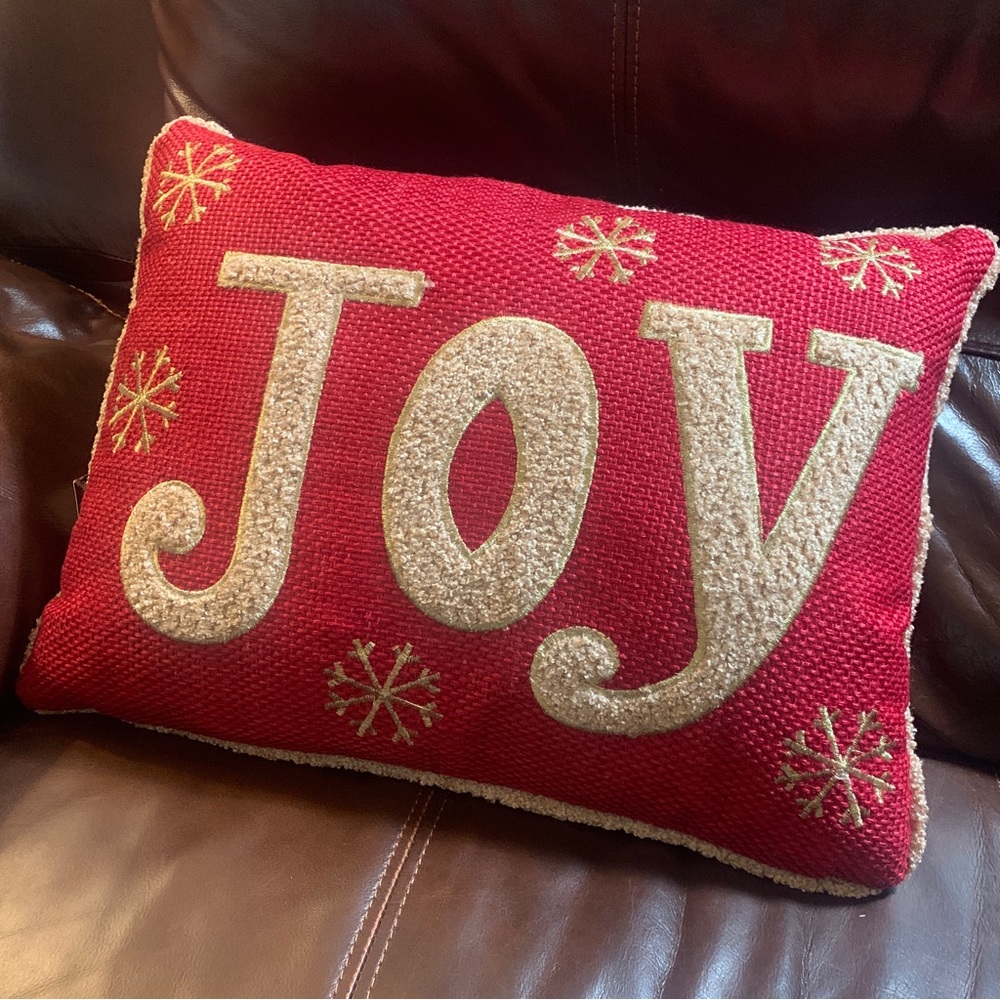 New! Secret Celebrity JOY Throw Pillow